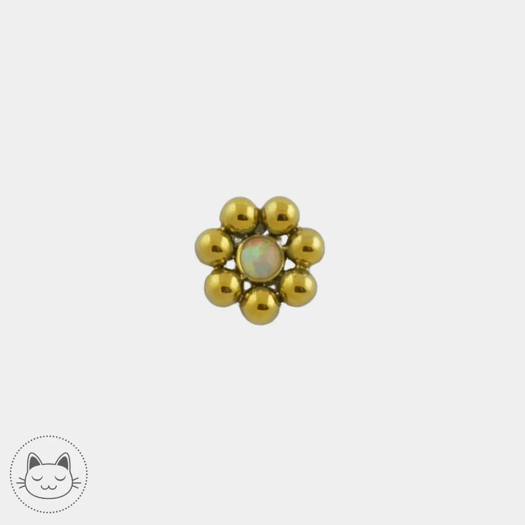 LeRoi - 11ht7 - Titane - Kawaii Place piercing