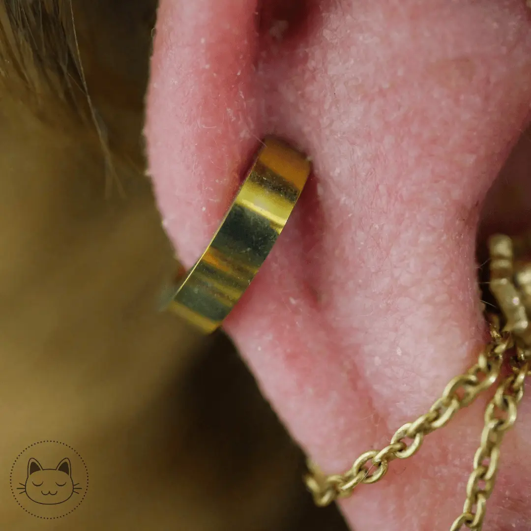 Anneau Titane - Massif - Kawaii Place piercing