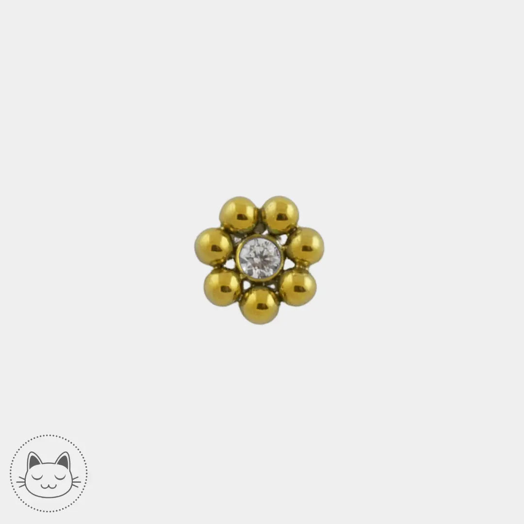 LeRoi - 11ht7 - Titane - Kawaii Place piercing