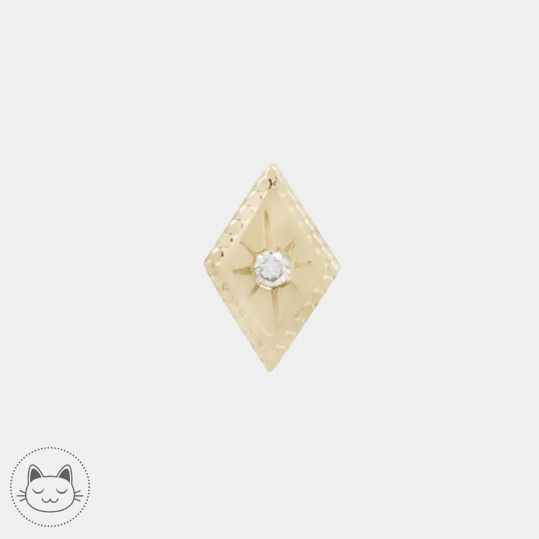 Buddha Jewelry - Etoile Genuine - Diamant blanc - Kawaii Place piercing