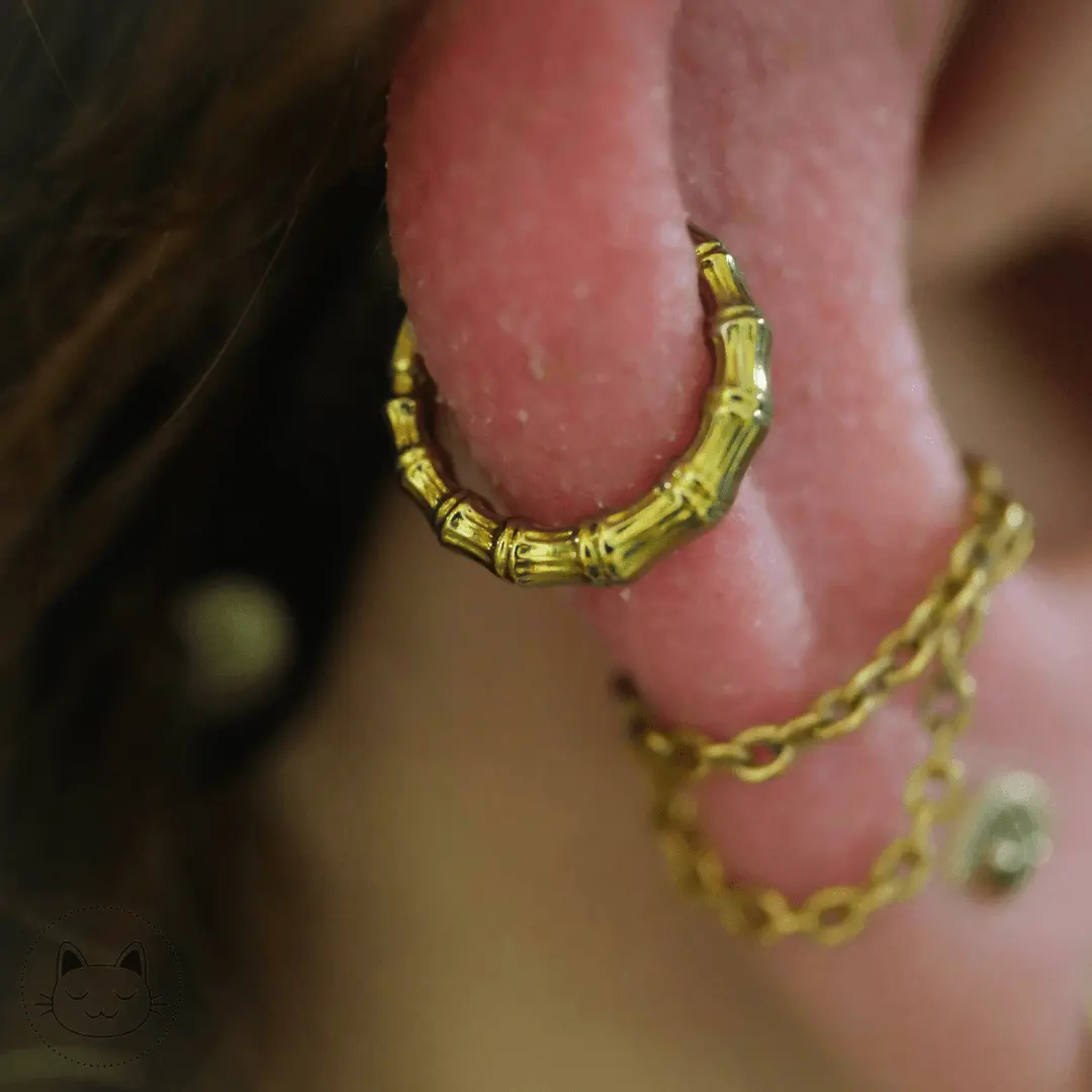 Anneau - Titane effet bambou - Kawaii Place piercing