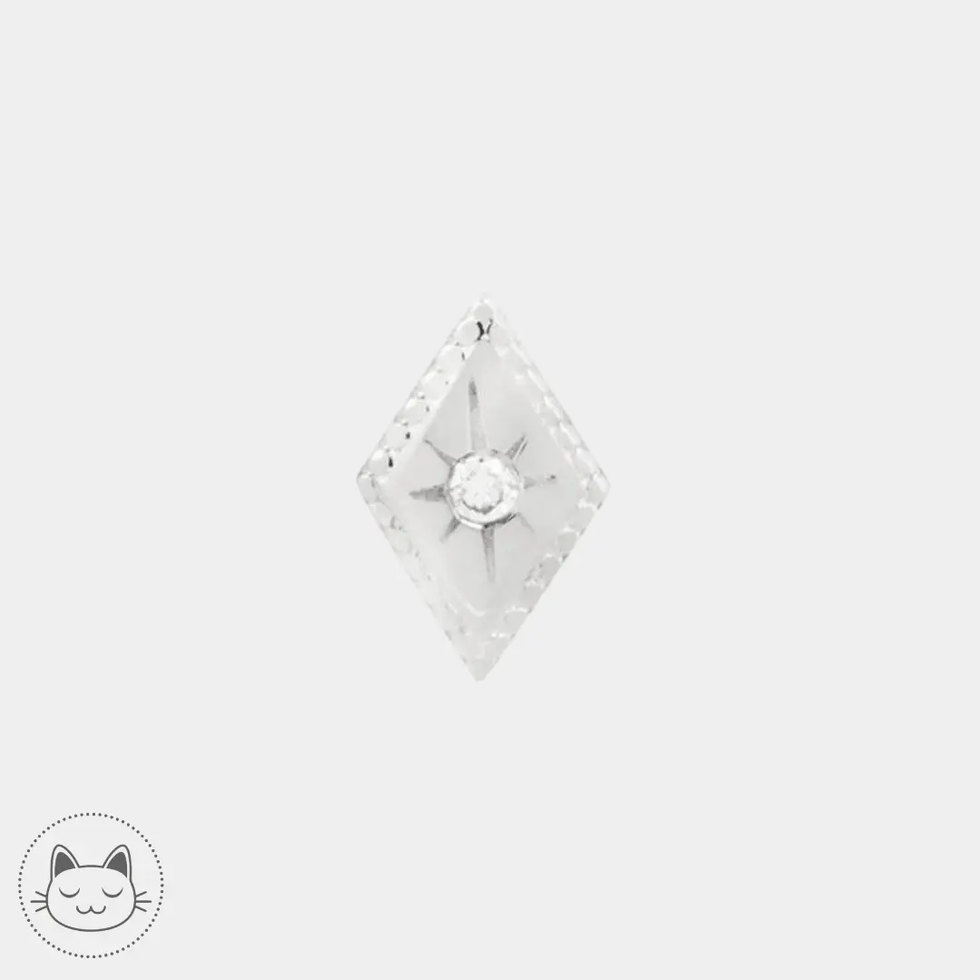 Buddha Jewelry - Etoile Genuine - Diamant blanc - Kawaii Place piercing