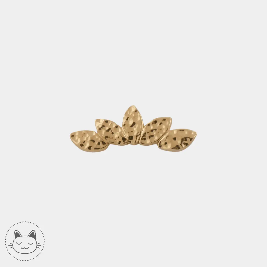 BVLA - Hammered Serenity - - Kawaii Place piercing