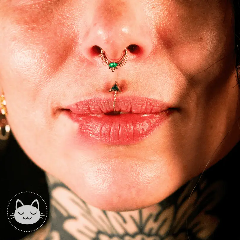 Sacred Symbols - C001 - Zircon blanc - Chrysoprase - Or jaune - Kawaii Place piercing