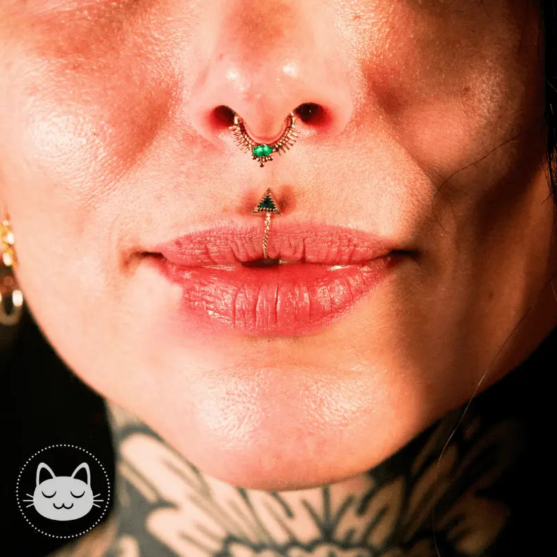 Sacred Symbols - S043 - Améthyste - Kawaii Place piercing