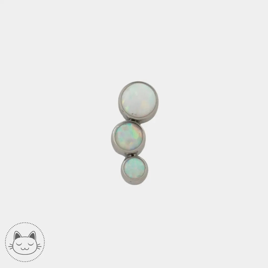 LeRoi -3t G - Titane - Kawaii Place piercing