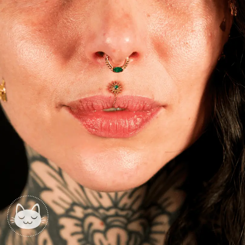 Sacred Symbols - C005 - Onyx - Chrysoprase - Zircon - Or jaune - Kawaii Place piercing