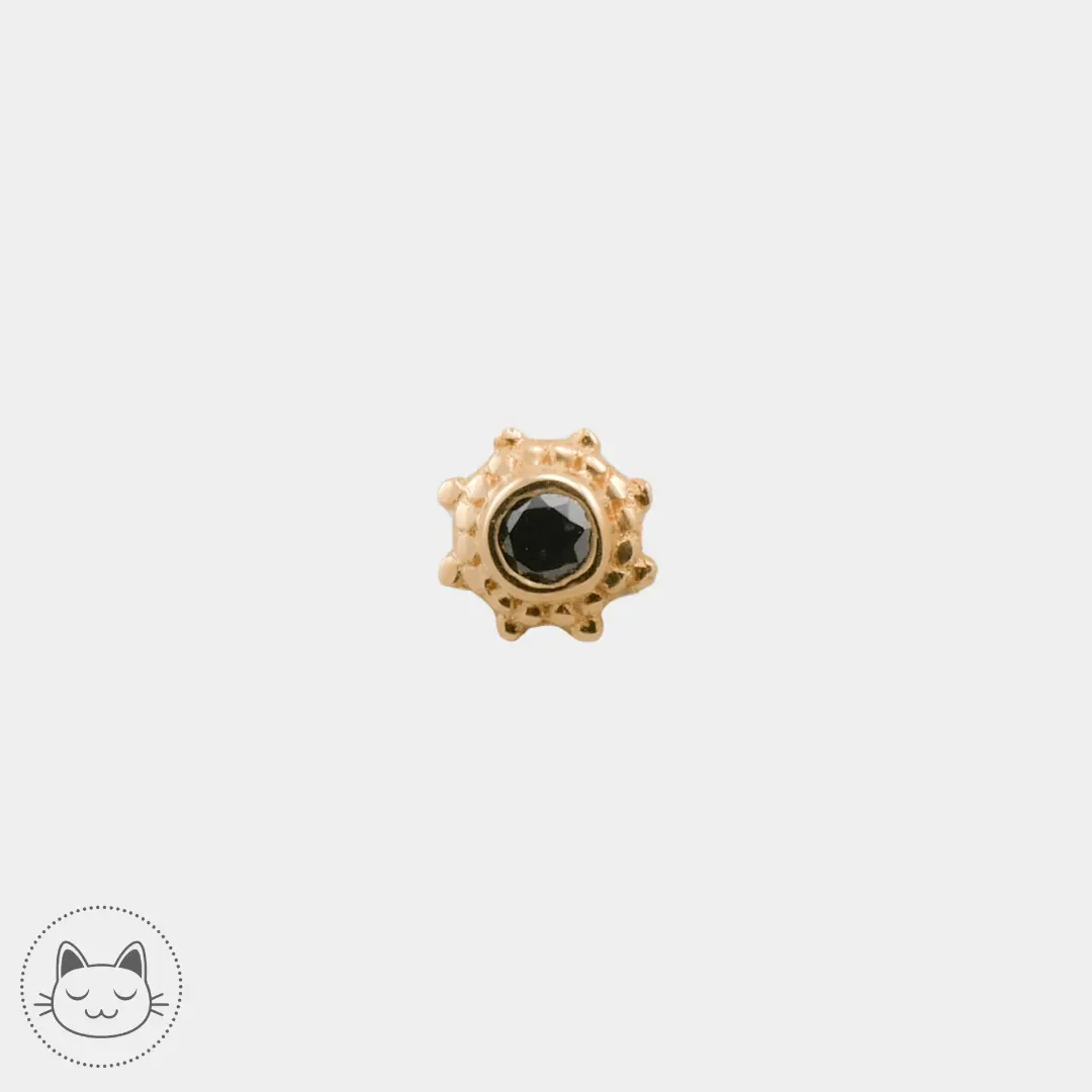 Naga - Galileo - Or jaune et Diamant noir - Kawaii Place piercing