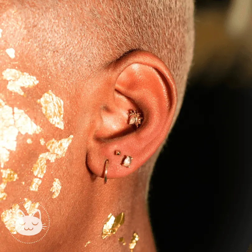 BVLA - Borderline - Zircon sablé - Kawaii Place piercing