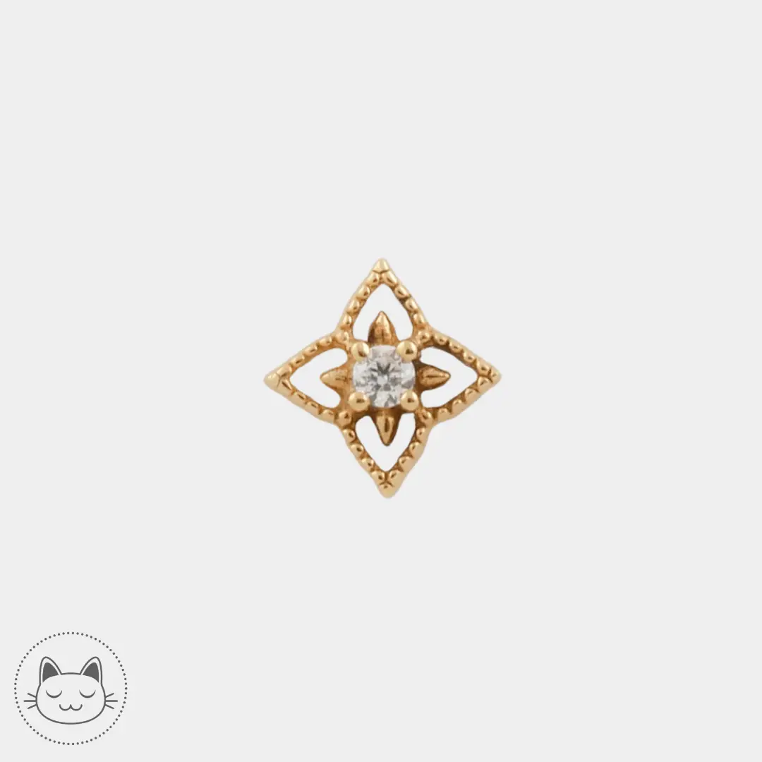 Sacred Symbols - S044 - Zircon blanc - Kawaii Place piercing