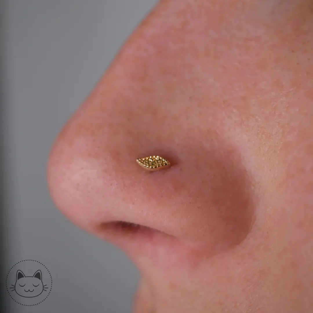 Buddha Jewelry - Wisp - Or jaune, or blanc Kawaii Place piercing