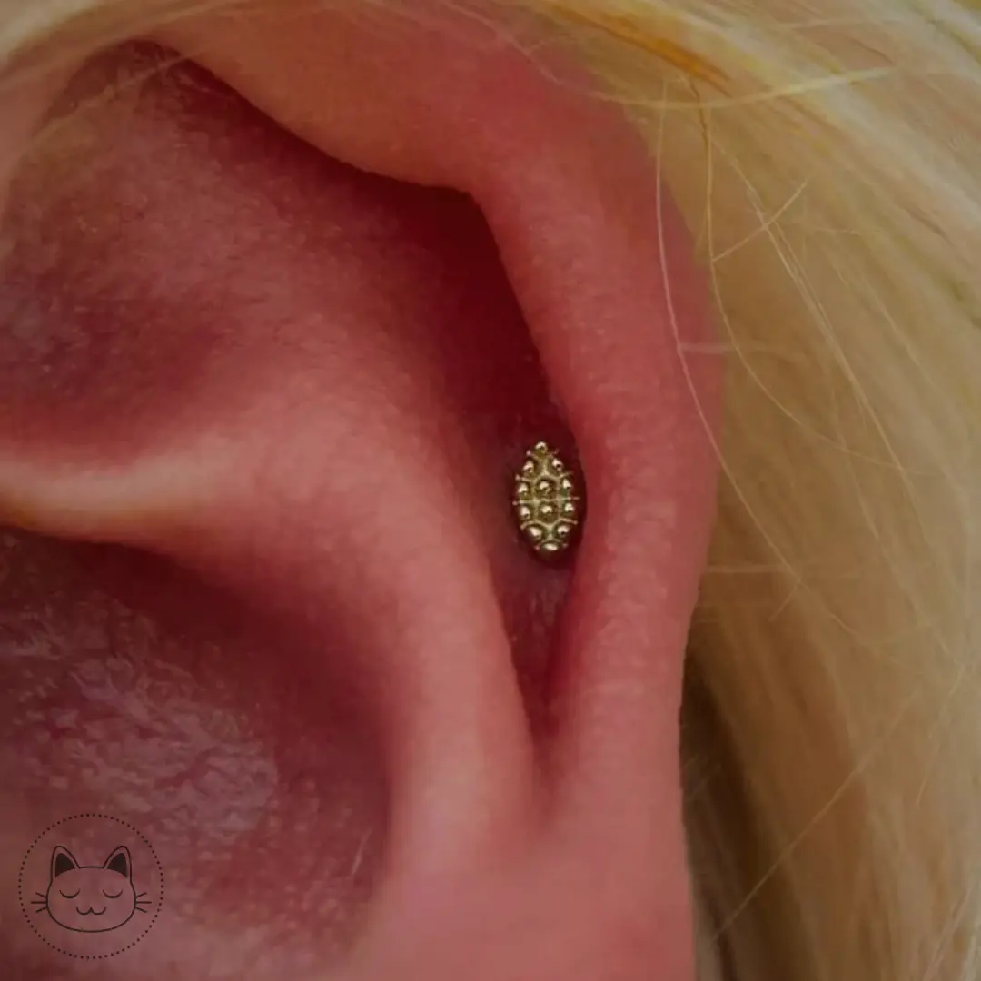 Buddha Jewelry - Goldblooded - Or jaune, or blanc Kawaii Place piercing