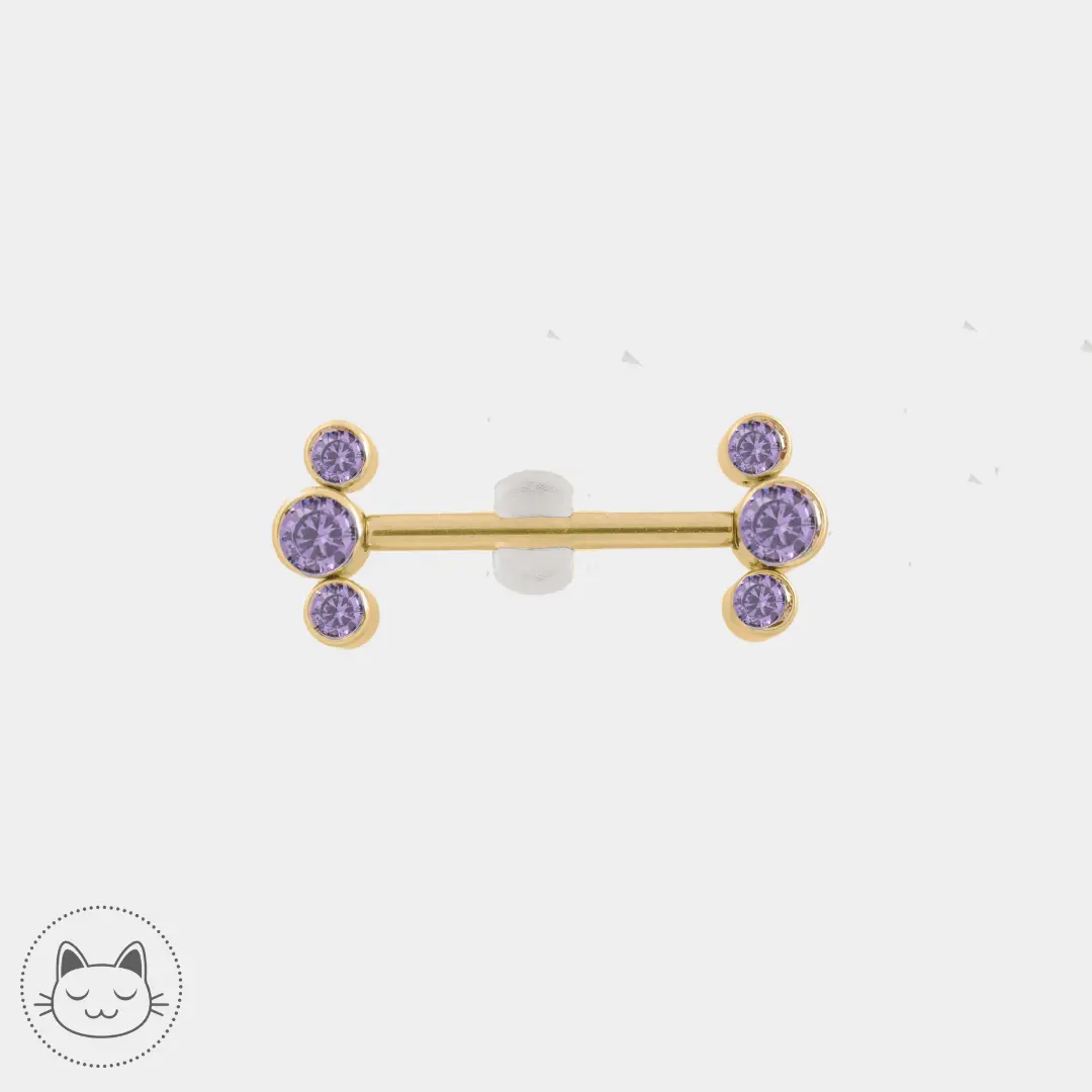 Bijou téton - Titane - Zircons violets - Kawaii Place piercing