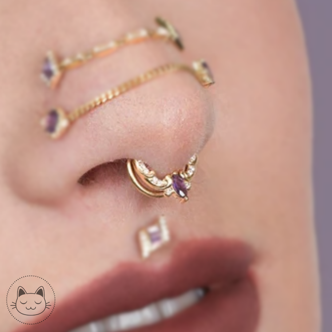 Buddha Jewelry - Coterie - Améthyste et zircons. Kawaii Place piercing