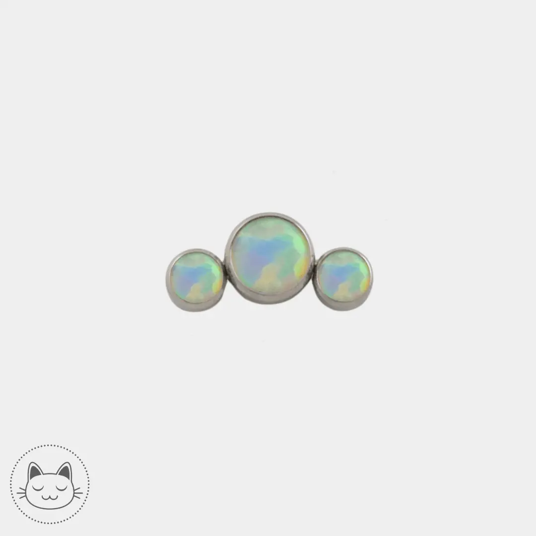 LeRoi - 2t - Titane - Kawaii Place piercing