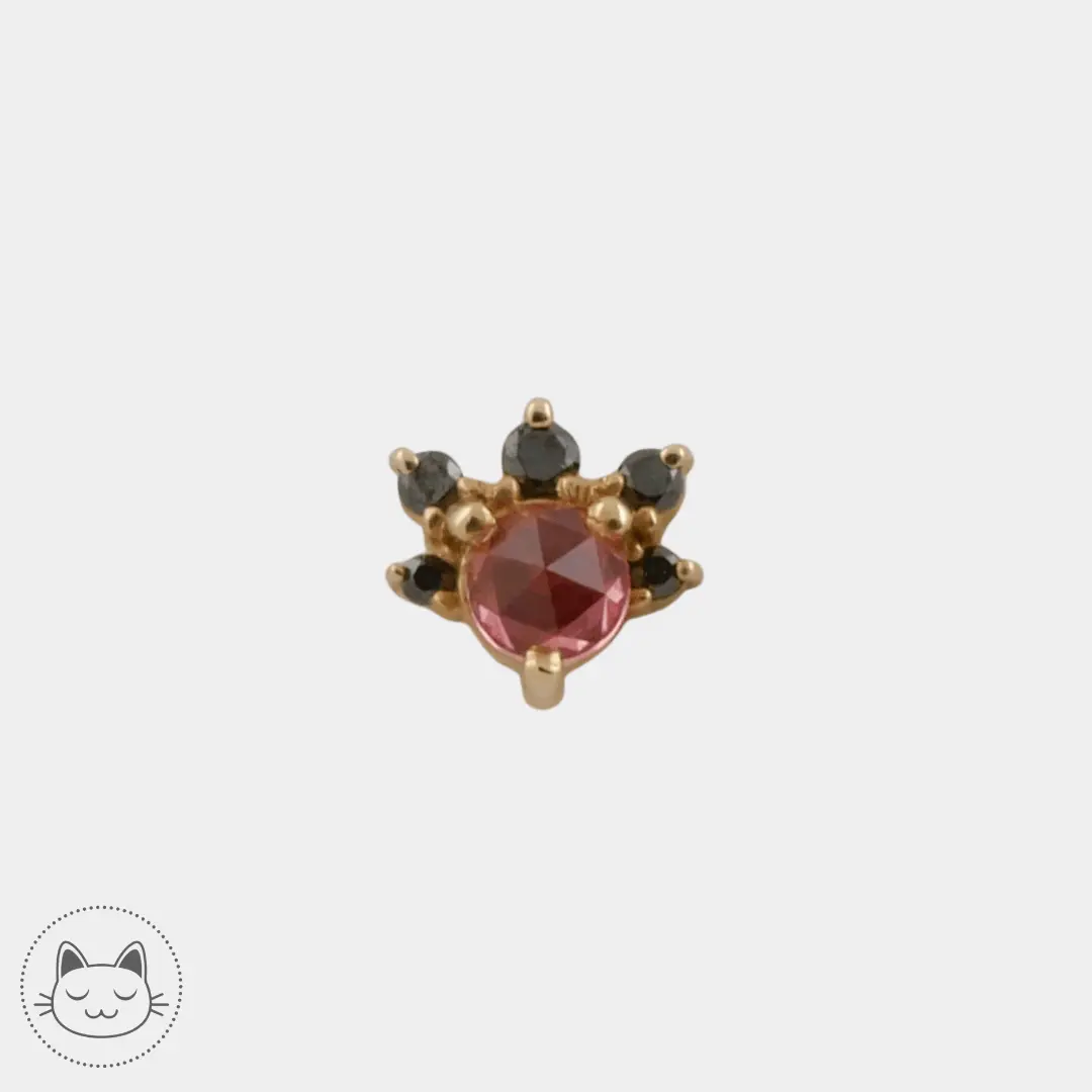 BVLA - Anaya Padparadscha - Saphir et Diamants noirs - Kawaii Place piercing