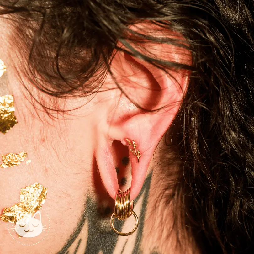 BVLA - Amity - Kawaii Place piercing