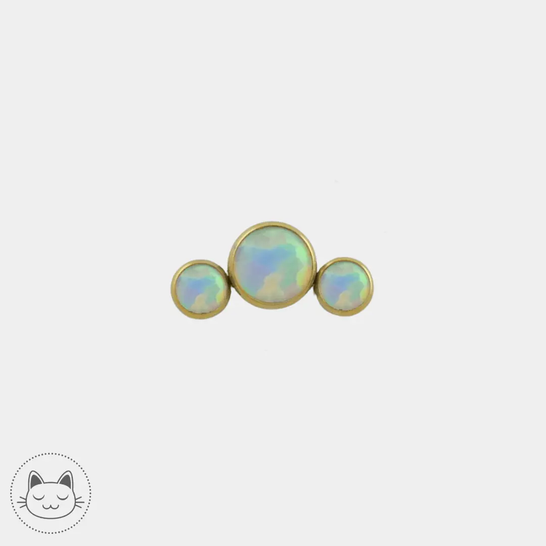 LeRoi - 2t - Titane - Kawaii Place piercing