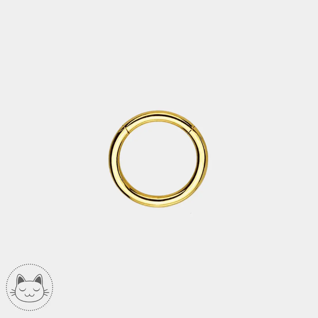 Anneau Titane ASTM F136 - Kawaii Place piercing