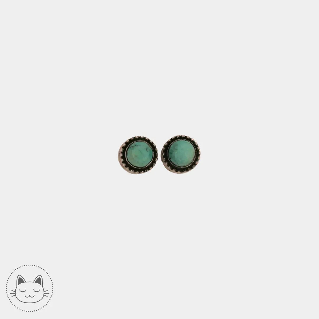 Paire de plugs en argent et turquoise