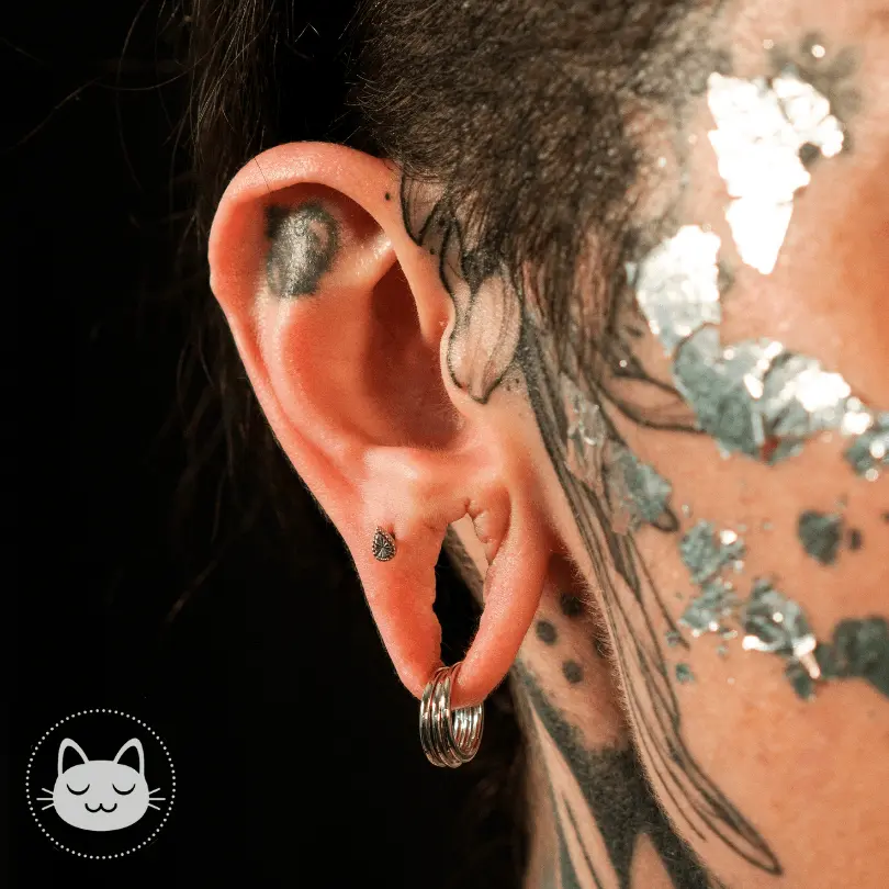 Anneau Or 14 carats - Kawaii Place piercing