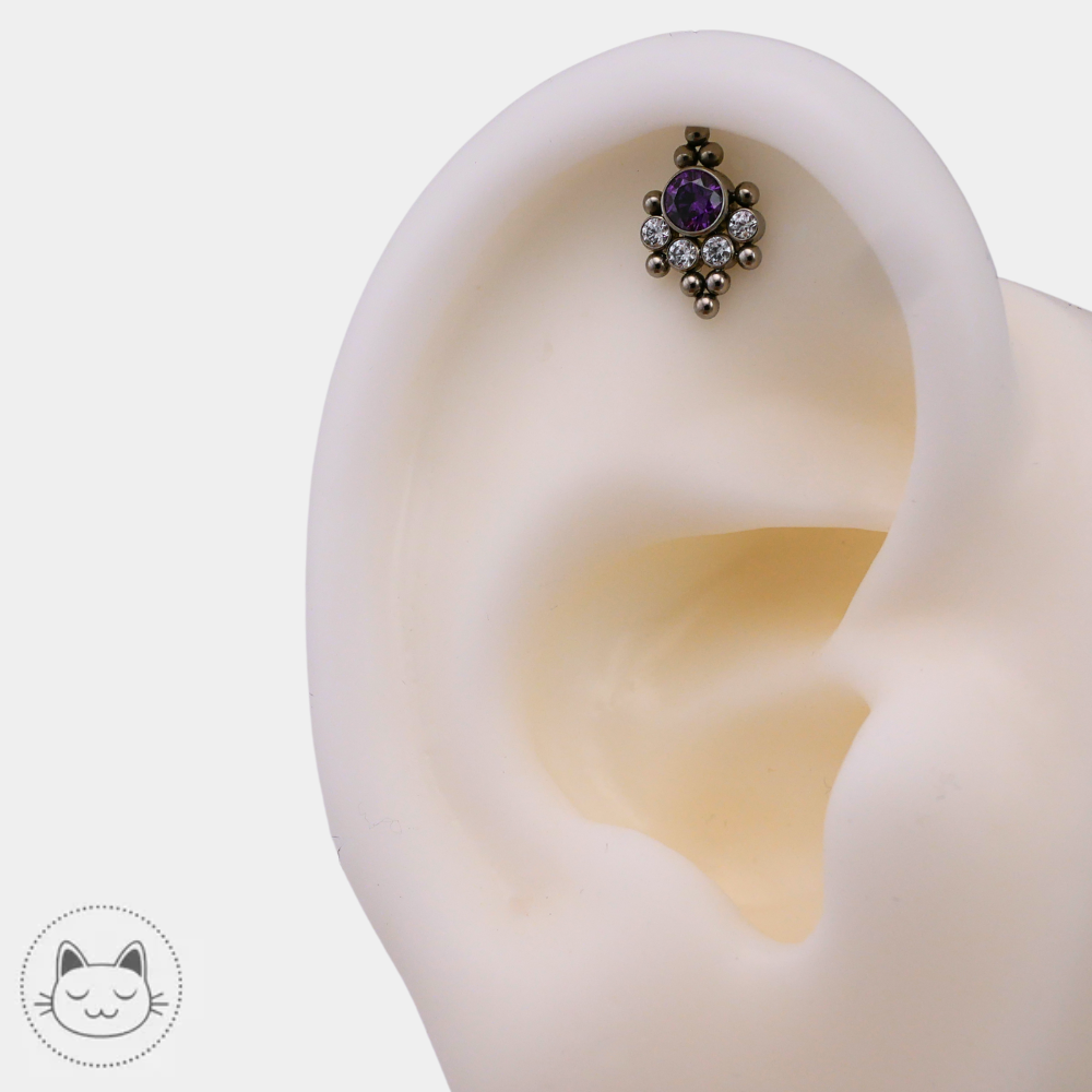 LeRoi – Titane - Zircon violet & zircons blancs Kawaii Place piercing