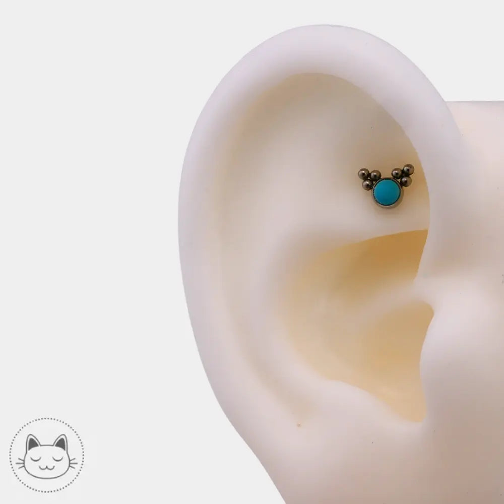 Bijou piercing LeRoi turquoise Lille