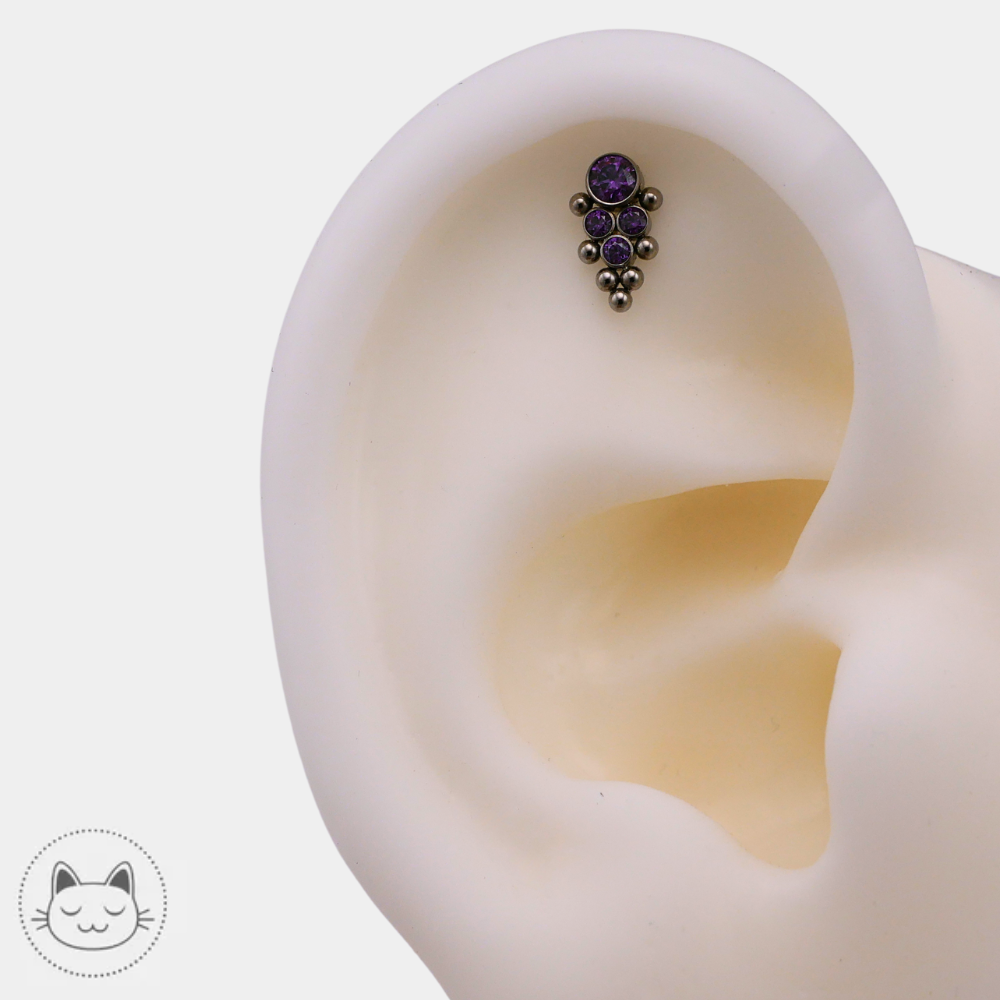 LeRoi - Titane & Zircons violets Kawaii Place piercing