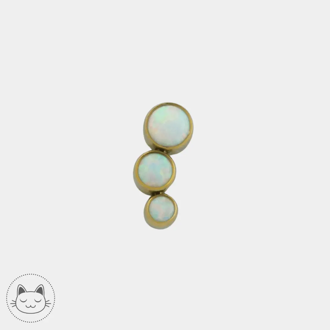 LeRoi -3t G - Titane - Kawaii Place piercing