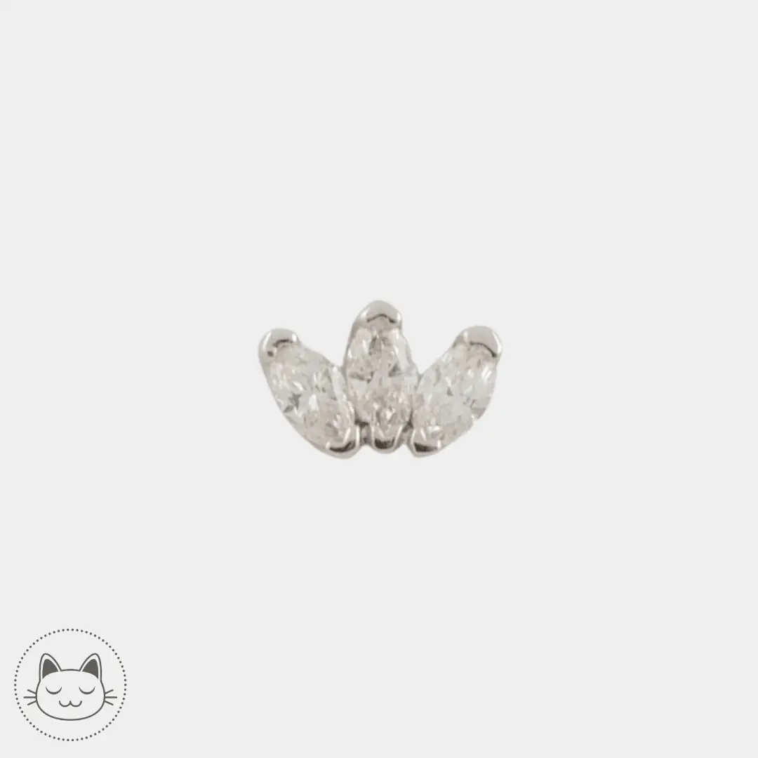 BVLA - Marquise Fan - Diamants blanc et Or blanc - Kawaii Place piercing