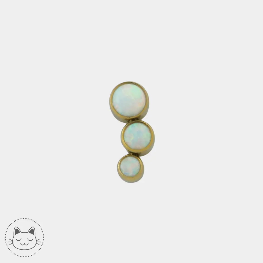 LeRoi - 3T D - Titane - Kawaii Place piercing