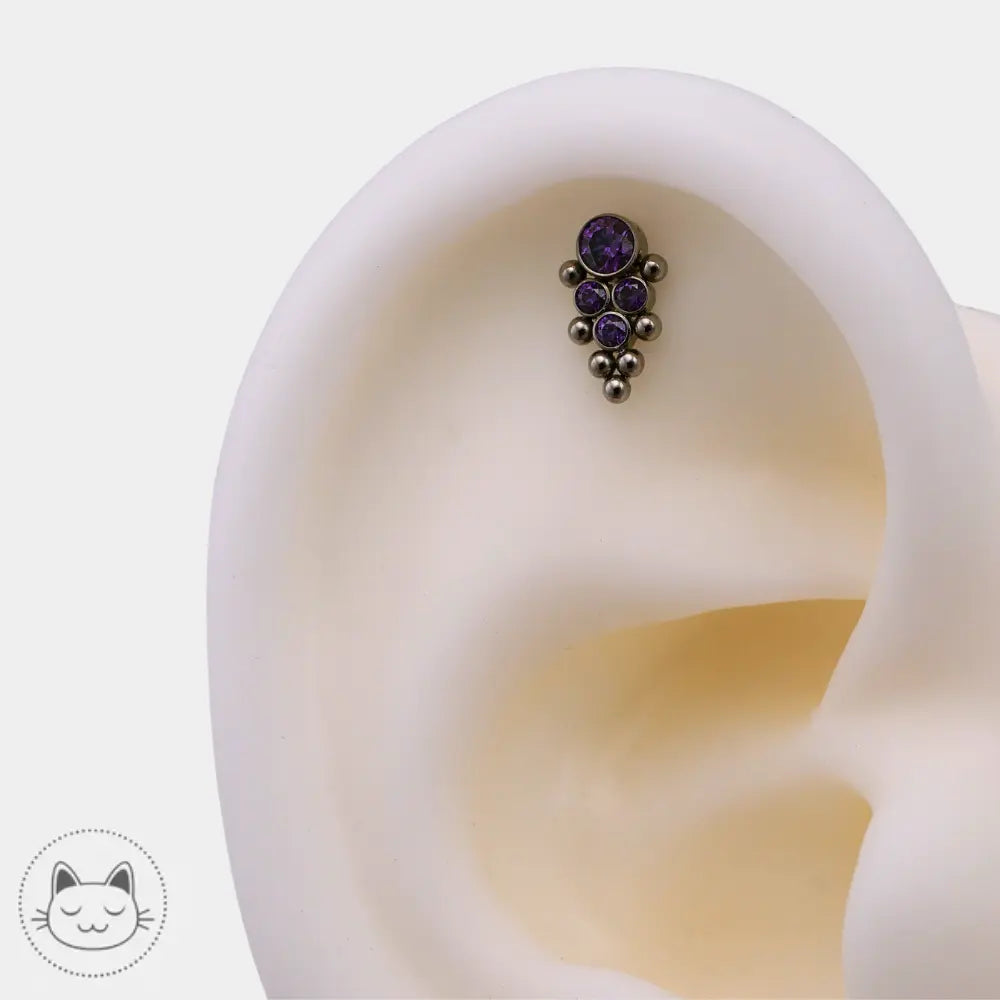 LeRoi - Titane & Zircons violets Kawaii Place piercing