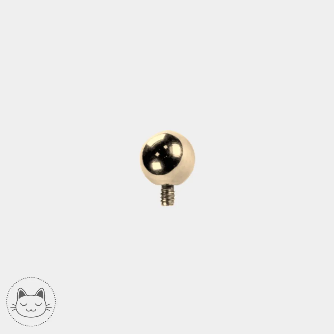Bille Titane ASTM F136 - Kawaii Place piercing