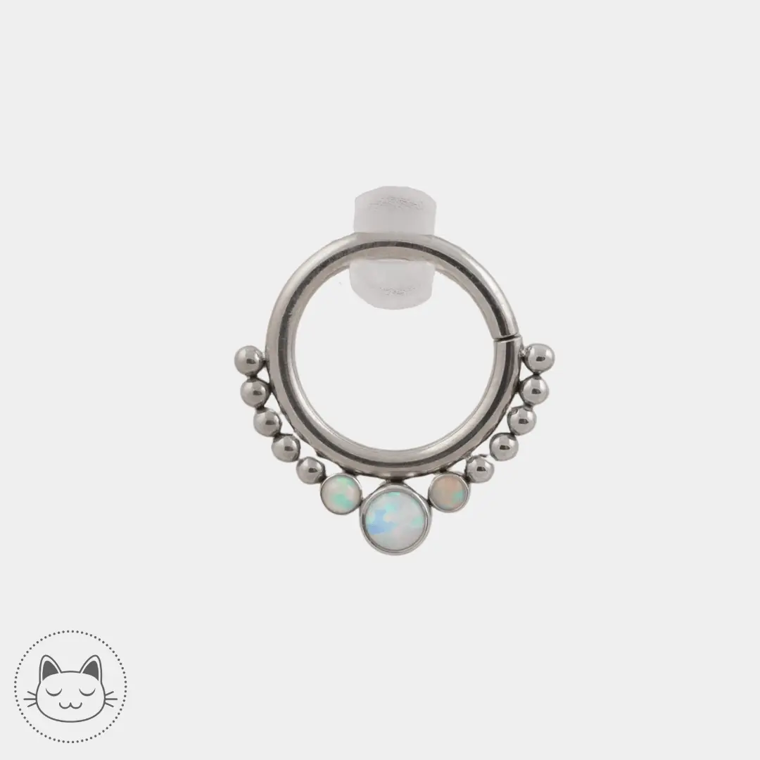 LeRoi - Hsmrf - Titane Argenté - Kawaii Place piercing