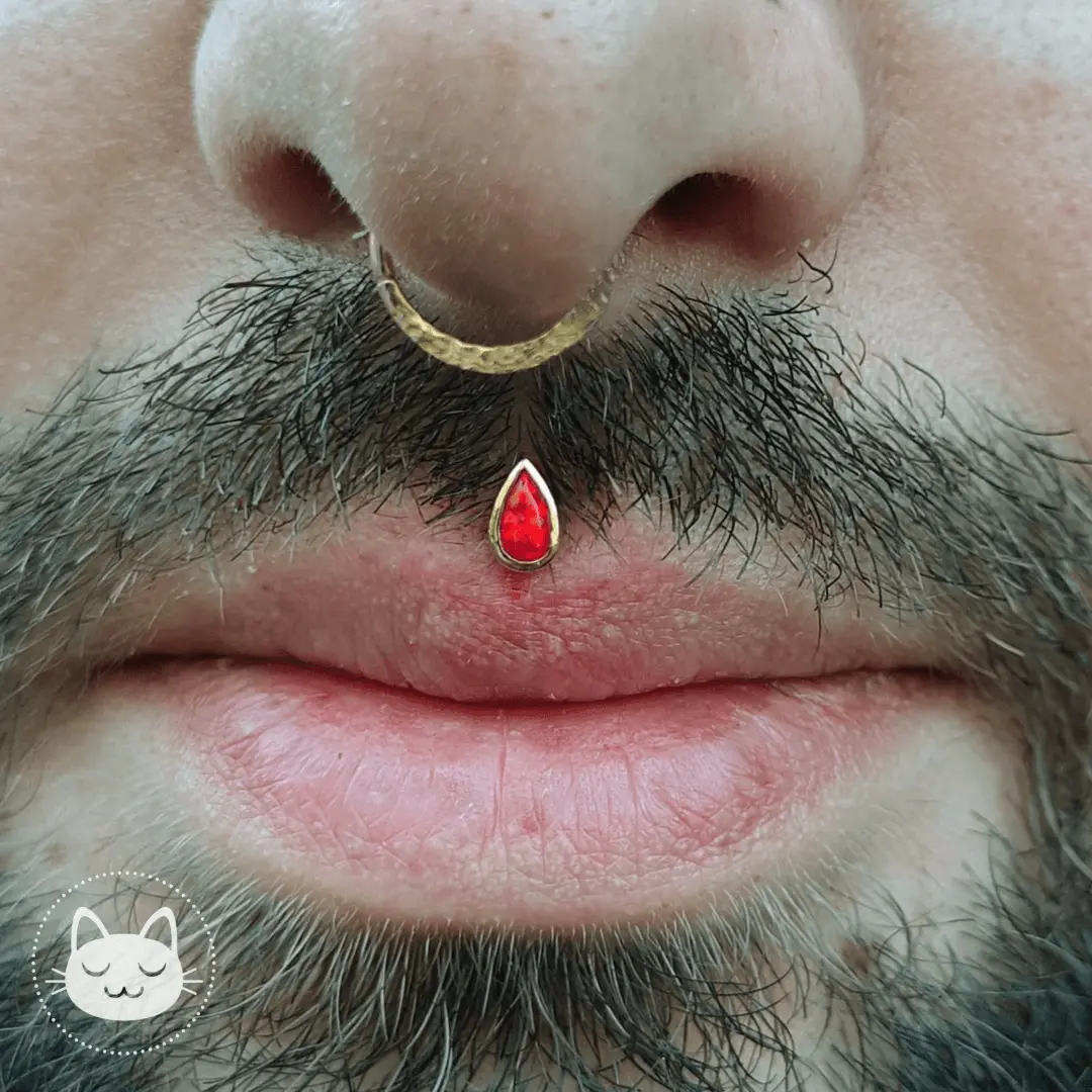 Auris- Cabochon "Teardrop"- Or blanc et œil de tigre - Kawaii Place piercing