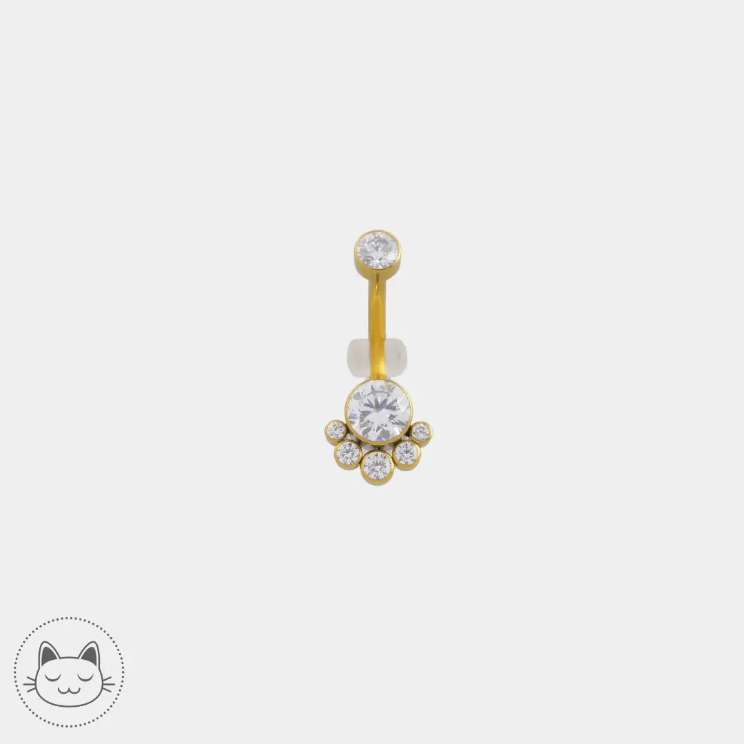 Bijou nombril ornements - Titane - Zircon Blanc - Kawaii Place piercing