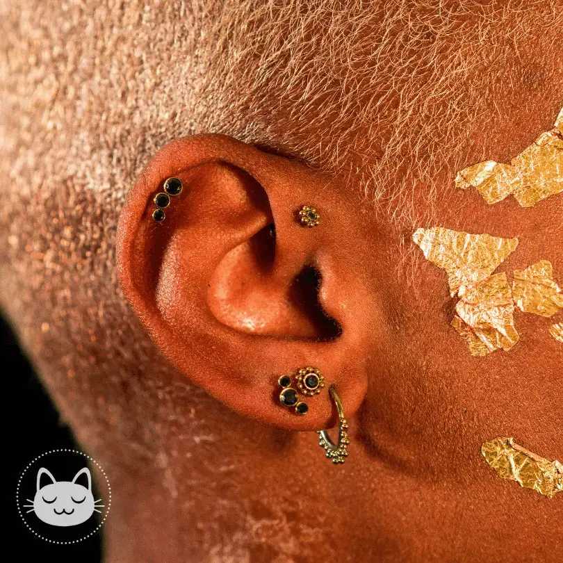 LeRoi -3t G - Titane - Kawaii Place piercing