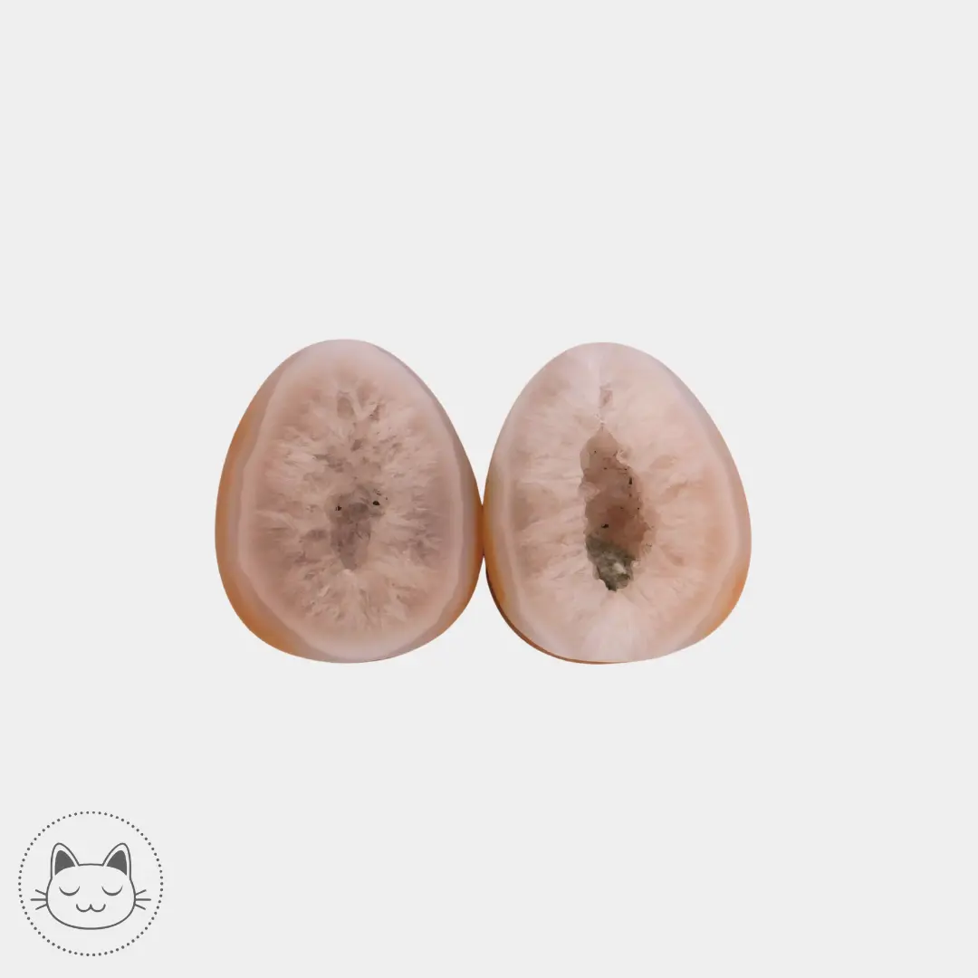 Paire de plugs en cristal de roche - Kawaii Place piercing