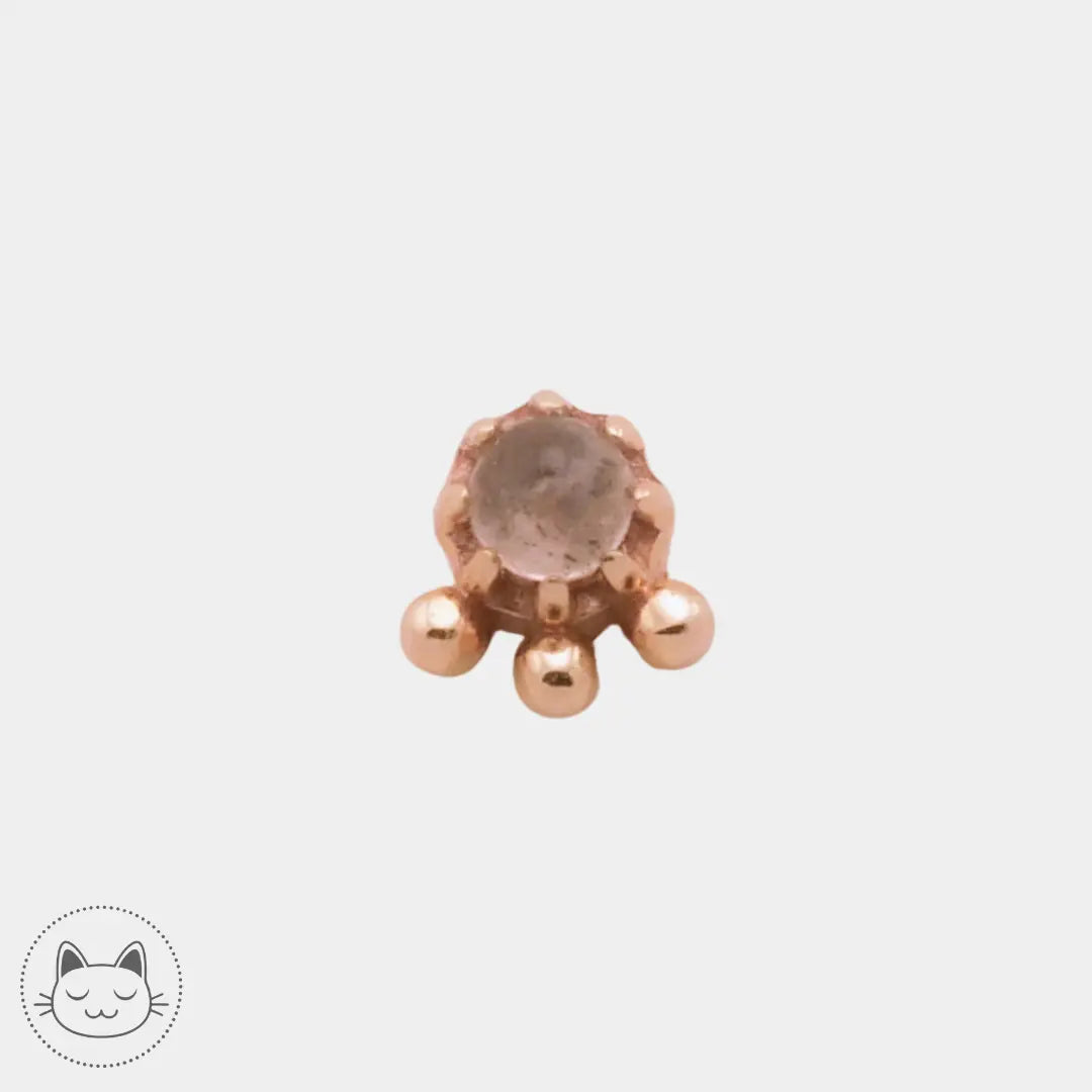 Sacred Symbols - D27 - Labradorite Kawaii Place piercing