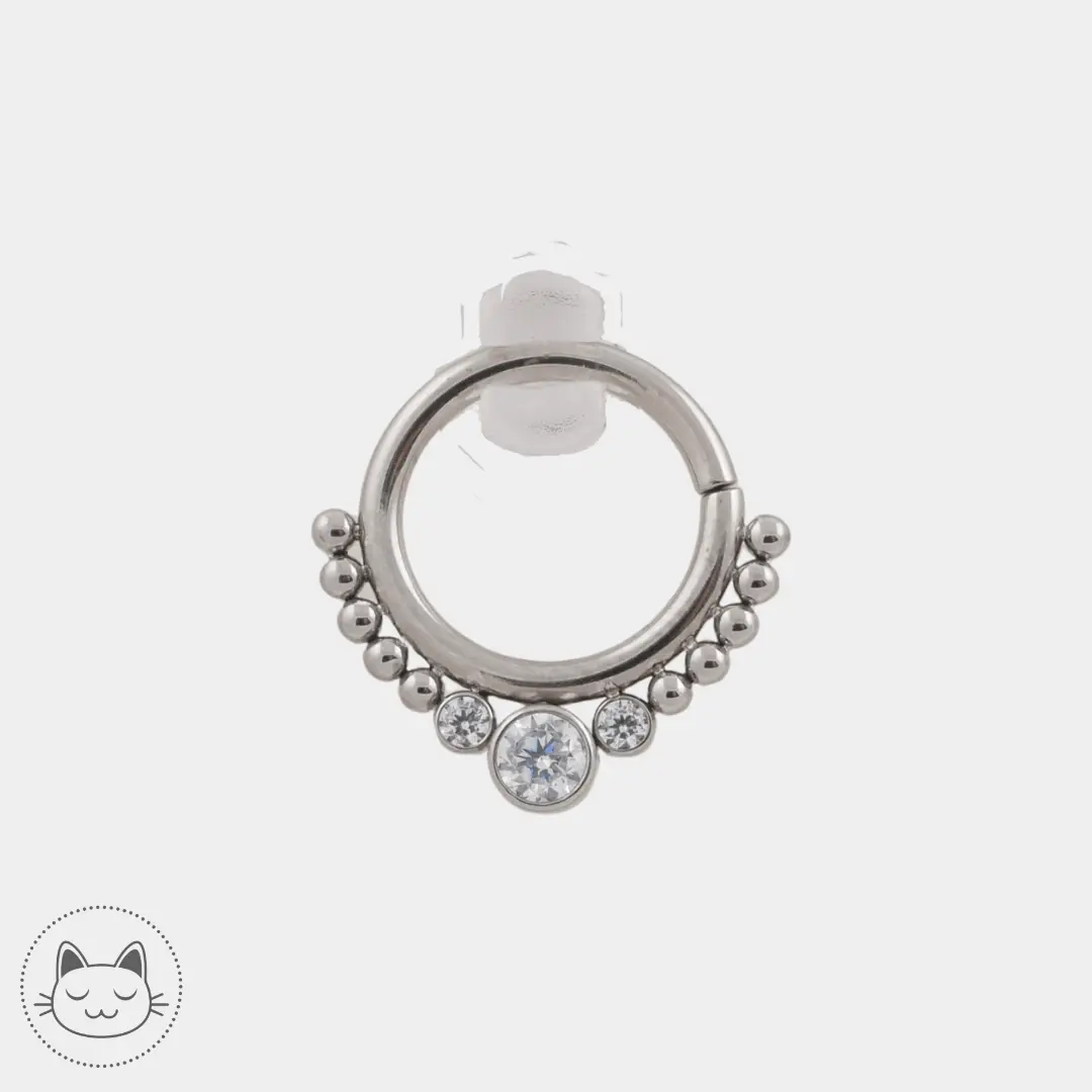 LeRoi - Hsmrf - Titane Argenté - Kawaii Place piercing