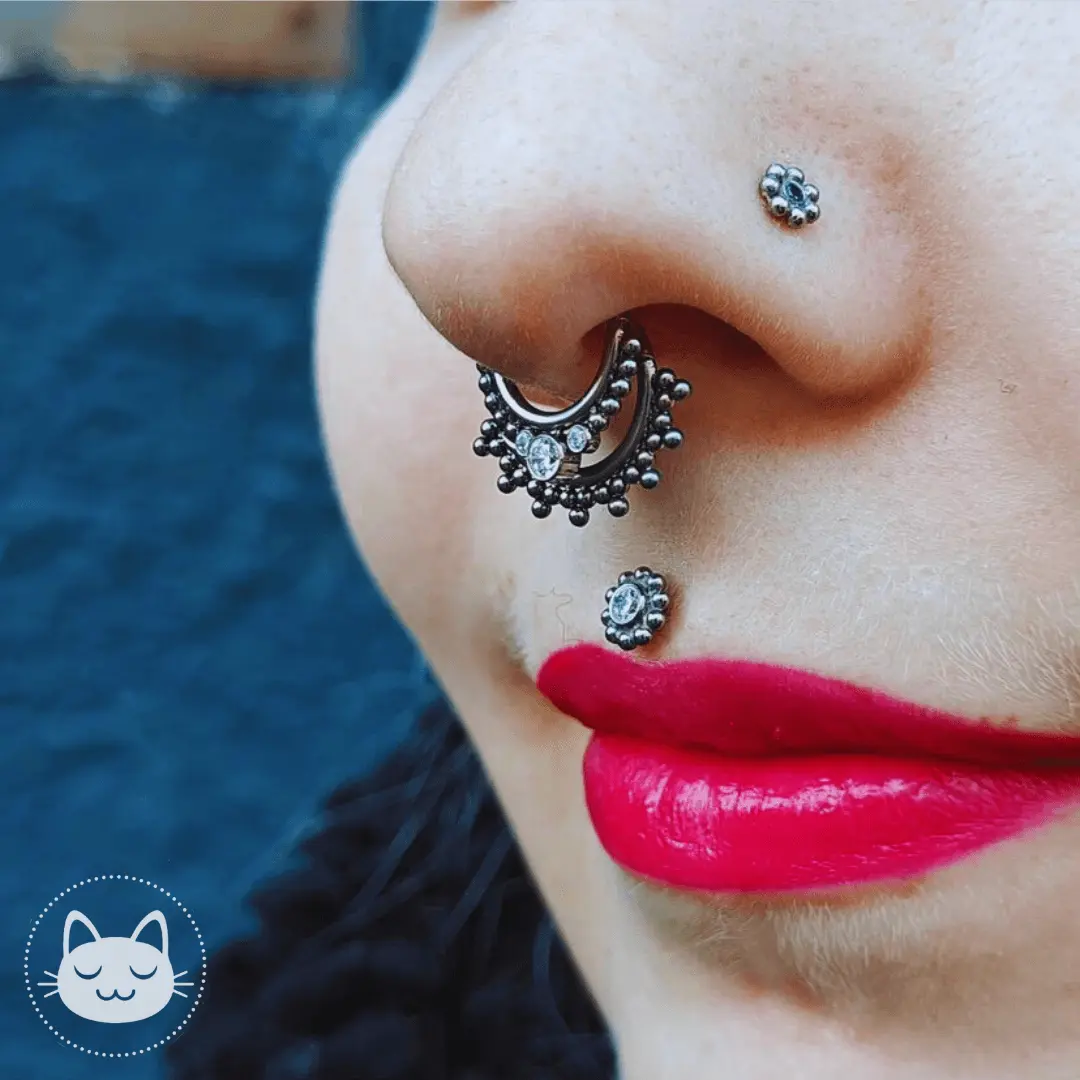 LeRoi - Hsmrf - Titane Argenté - Kawaii Place piercing