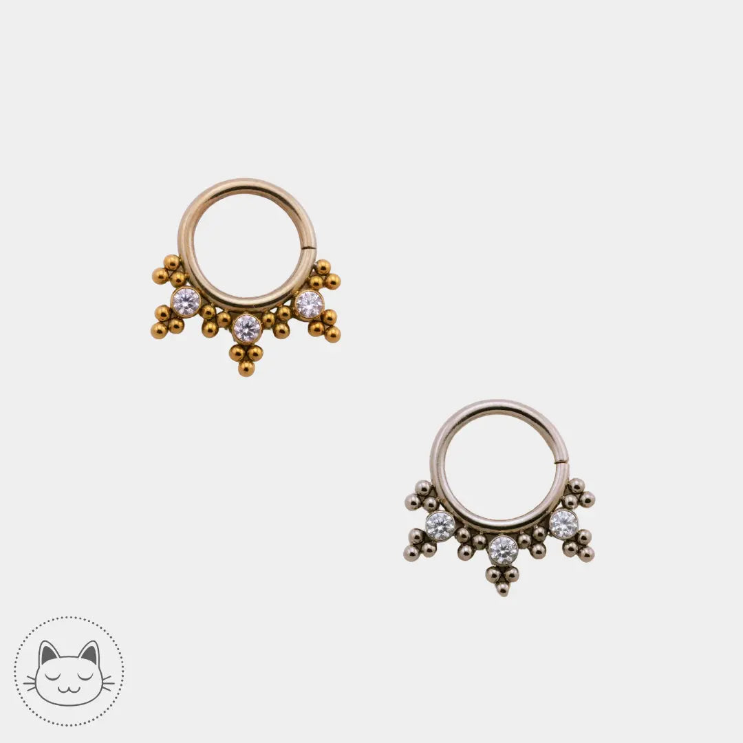 LeRoi - HsmrC - Titane Titane Kawaii Place piercing