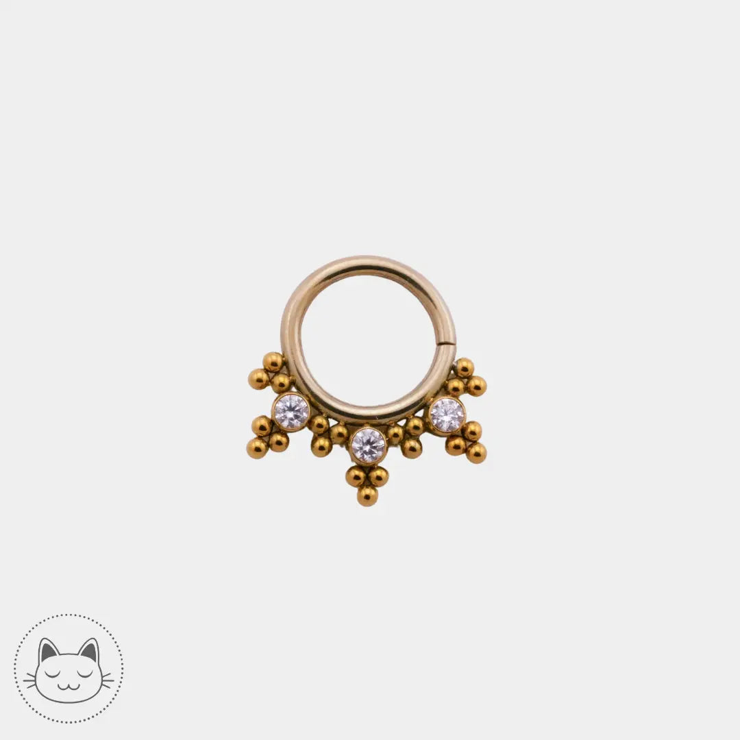LeRoi - HsmrC - Titane Titane Kawaii Place piercing