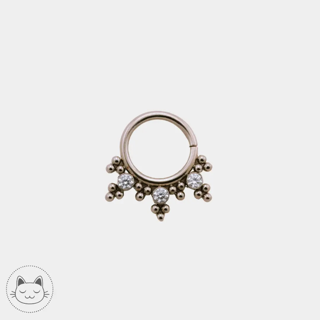 LeRoi - HsmrC - Titane Titane Kawaii Place piercing