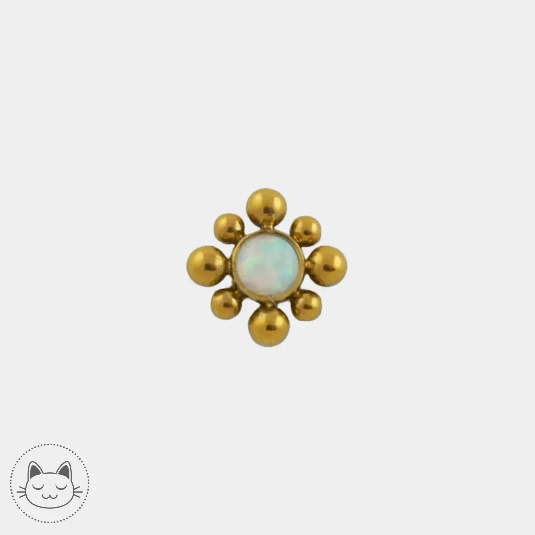 LeRoi - 15t - Titane - Kawaii Place piercing