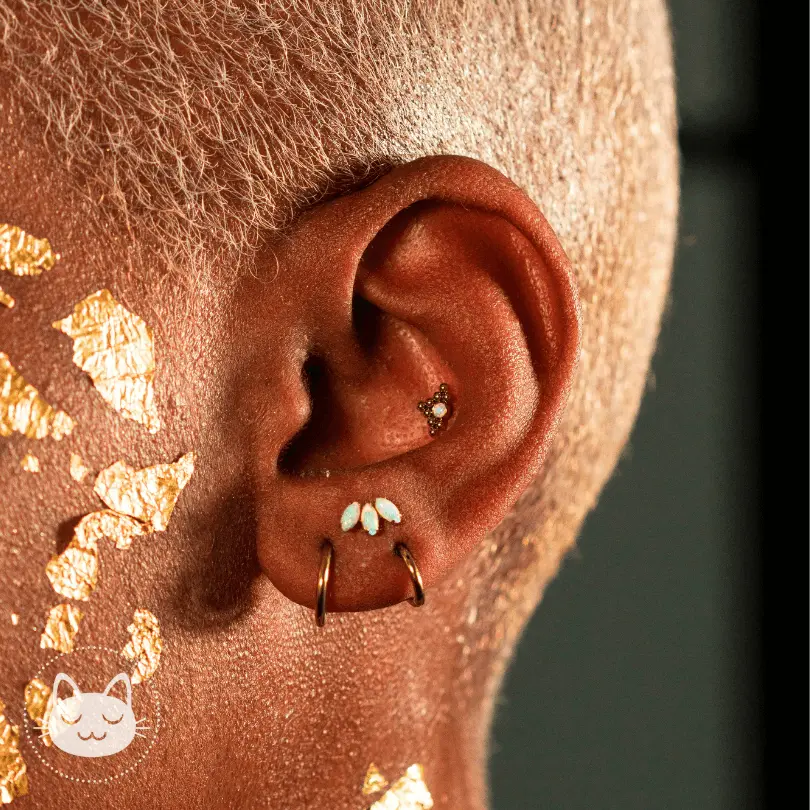 Anneau Titane ASTM F136 - Kawaii Place piercing