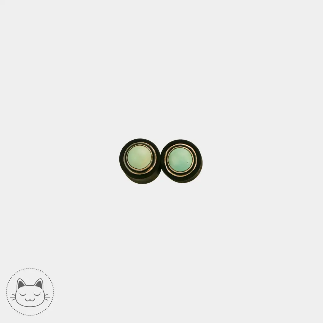 Paire de plugs en bois, argent et turquoise - Kawaii Place piercing