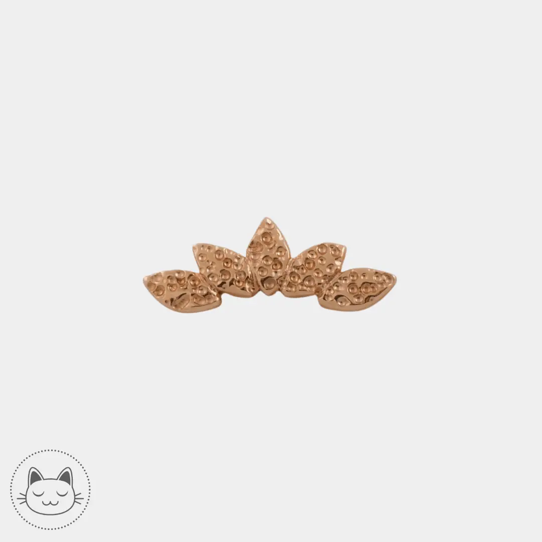 BVLA - Hammered Serenity - - Kawaii Place piercing