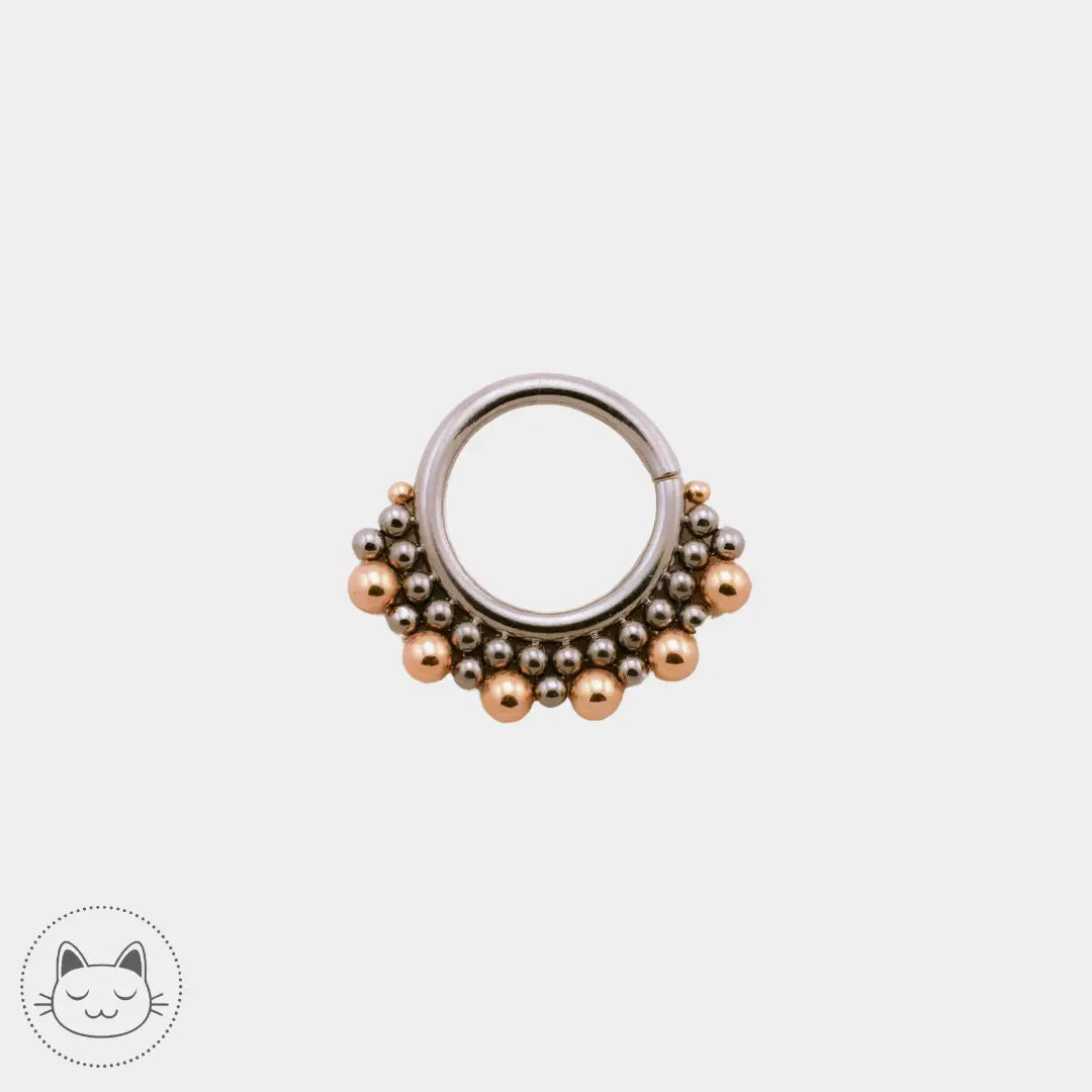 Anneau LeRoi titane ASTM F136 et or 14k