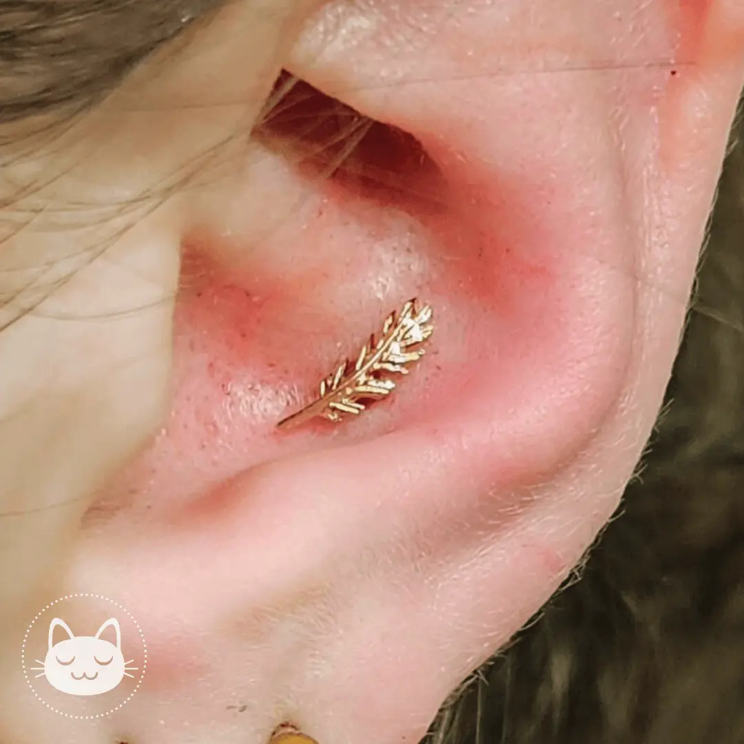 Auris- Grande plume "Phoenix" - Kawaii Place piercing